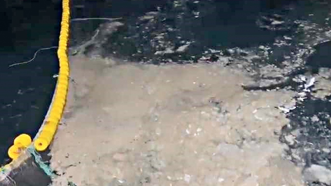 Av sezonu erken kapandı: 'Marmara denizi ölüyor'