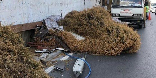 Sökülen dikey bahçelere talip olmuşlardı! İBB'den tepki çeken yanıt