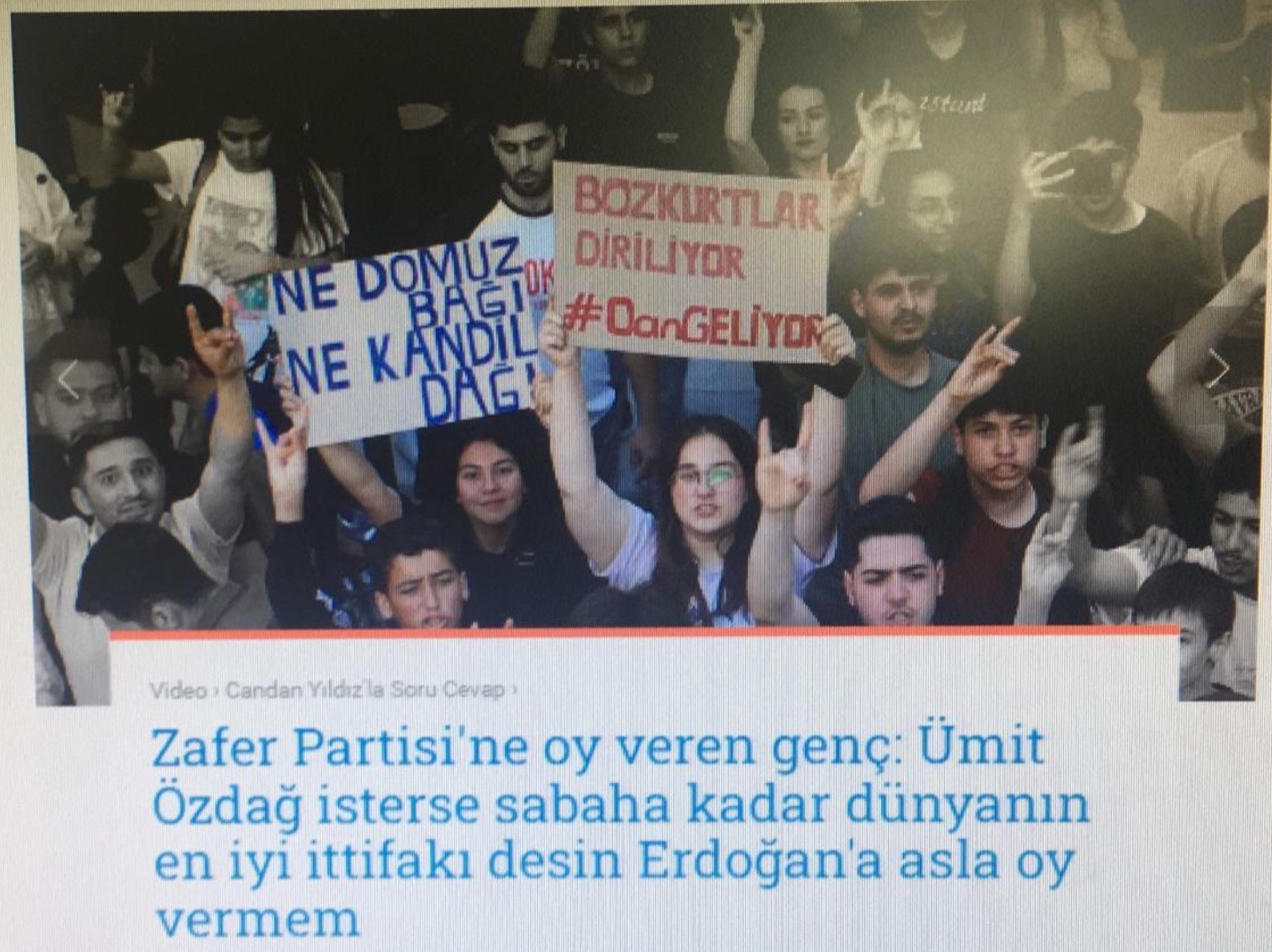 Solcu T24, Bozkurt mu oluyor?