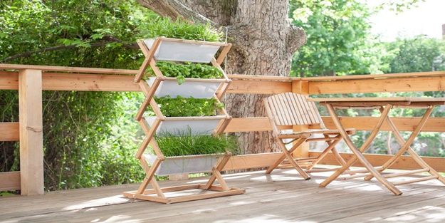 Solmuş bitkiler nasıl canlanır? | İşte bitkileri canlandıran kür tarifi