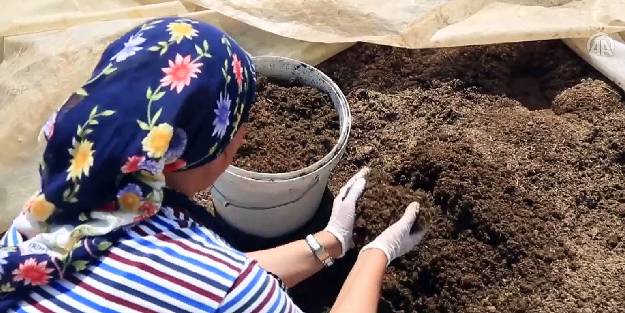 Solucan gübresi üreten kadın girişimci