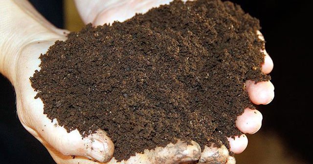 Solucan gübresine Çin ve İsrail'den istek