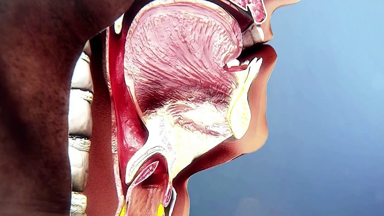 Soluk borusuna kaçan şeker nasıl çıkarılmalı? Böyle yapılıyor diyerek açıklandı