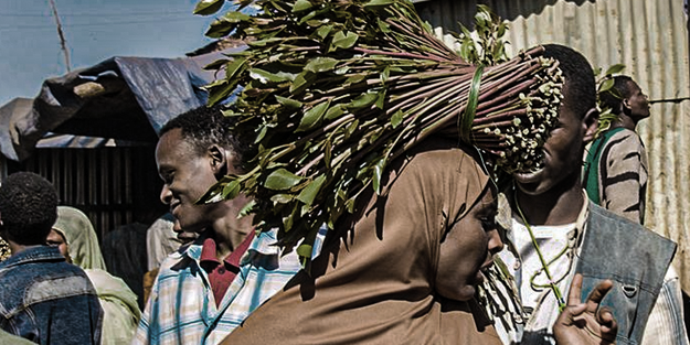 Somali Kenya'dan uyuşturucu ot ithal edecek