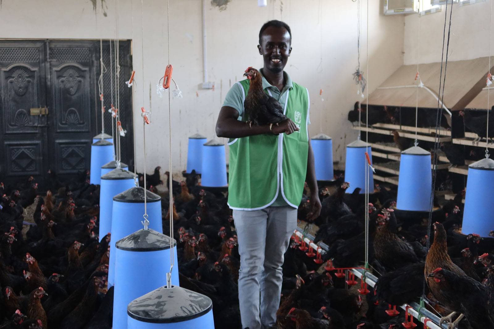 Somali’deki yumurta üretim tesisine destek