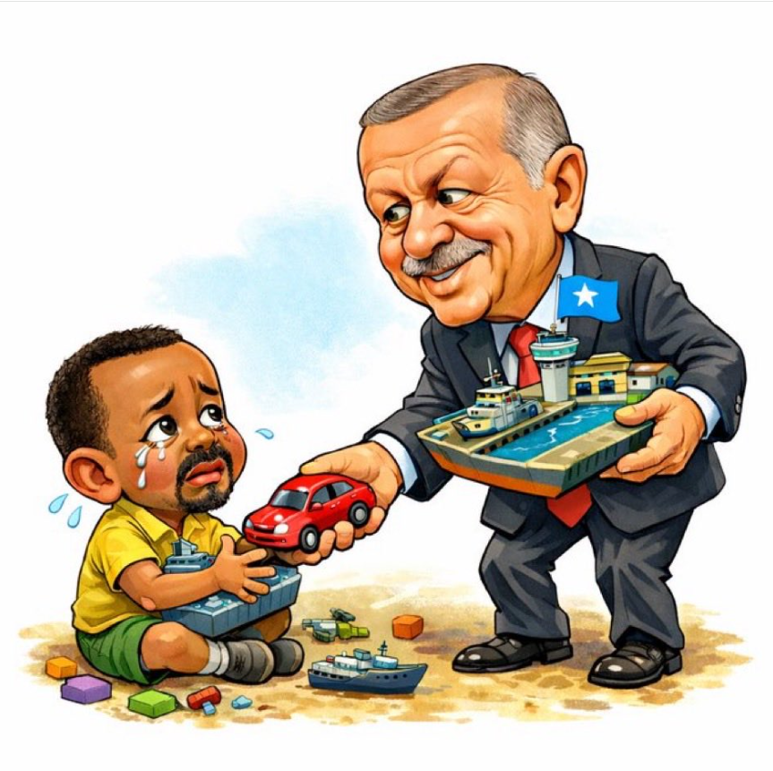 Somali'den Türkiye'ye kalbi şükran: Sarsılmaz kardeşlik bağları güçleniyor