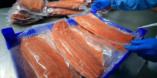 Somon ihracatı yükseldi!