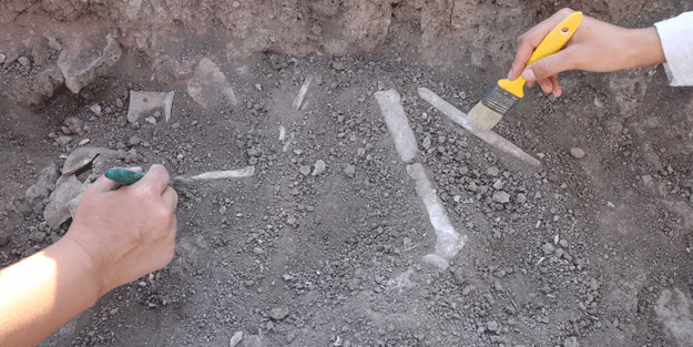 Son 10 günde üçüncü kez! Bir çocuk iskeleti daha bulundu