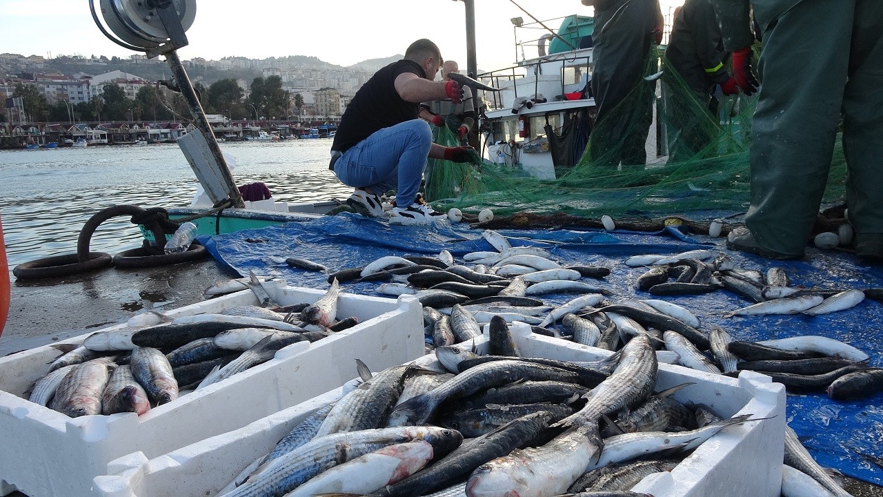 Son 30 yılın en bereketli balık sezonu