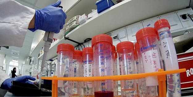 Son anket sonuçları açıklandı! Türk halkının yüzde 76.8'i 