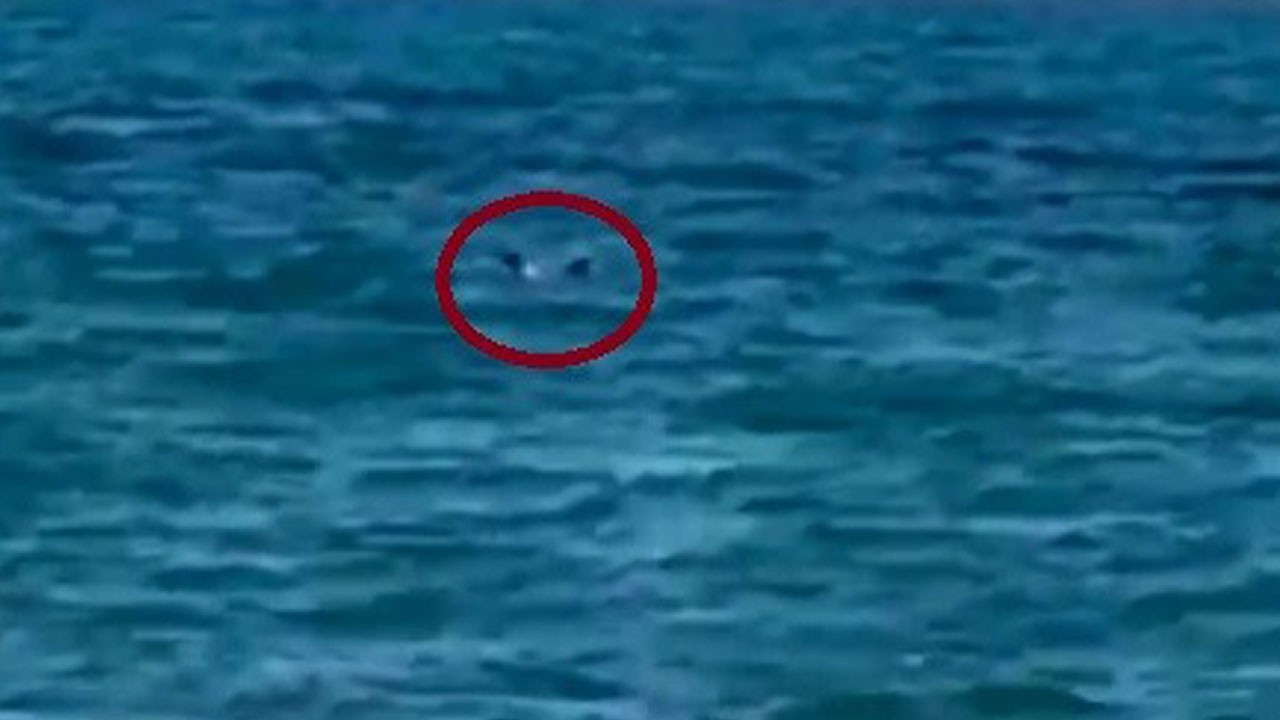 Son anları böyle kaydedildi! Balık avlarken boğuldu