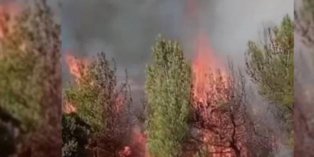 Son dakika: Kahramanmaraş'ta ormanlık alanda ikinci yangın çıktı