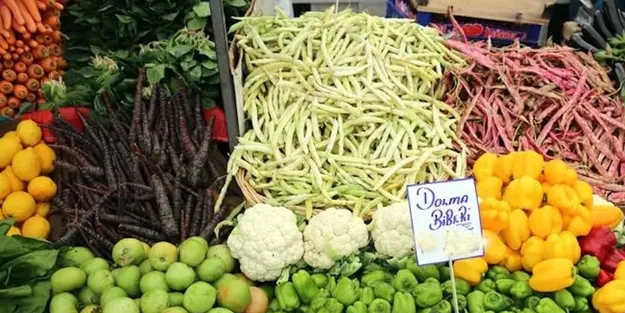 Son dönemde 5 yılın stratejik Organik tarımda tüm fırsatlar büyük! Ortaya çıktı! Üreticisi mesaisine başladı