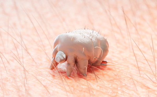 Son dönemde vakalar arttı! Aman dikkat mağazalarda bu hatayı yapmayın