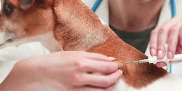 Son gün 31 Aralık… Bunu yapmayan 6 bin lira ceza yer