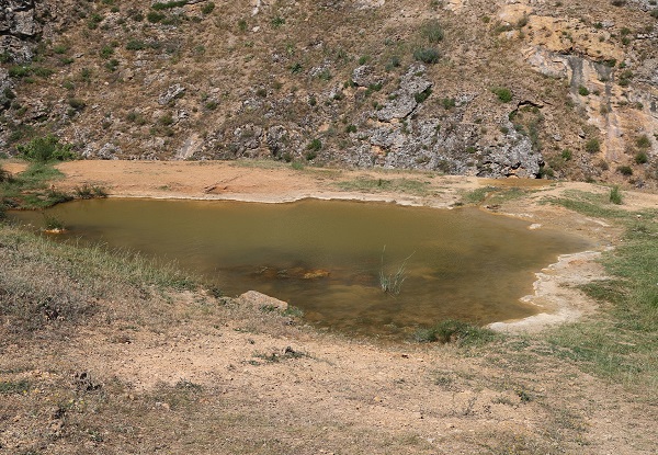Son yıllarda vakalar arttı! İşte uyuz hastalığına şifa o göl