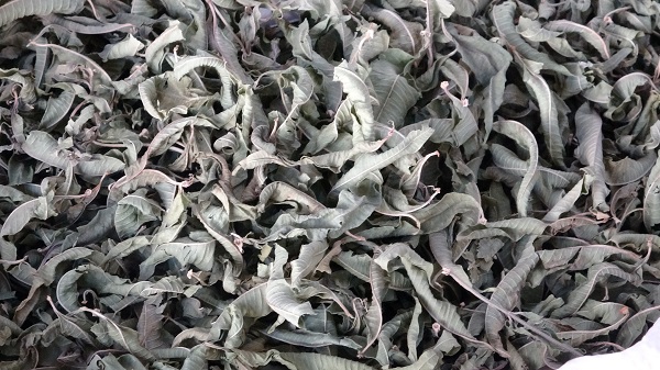 Son zamanlarda yok satıyor! Mevsim geçişi onların yüzünü güldürdü