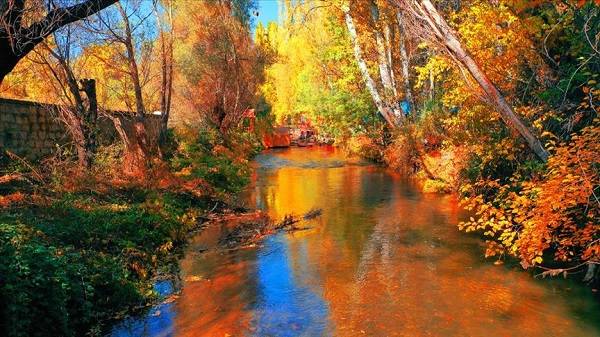 Sonbahar şiirleri | Sonbaharı anlatan şiirler