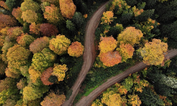 Sonbaharın en güzel hali