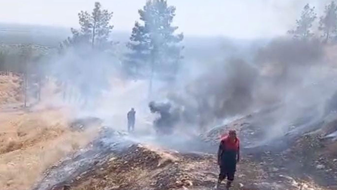 Söndürülmeyen sigara izmaritleri yangın çıkarıyor