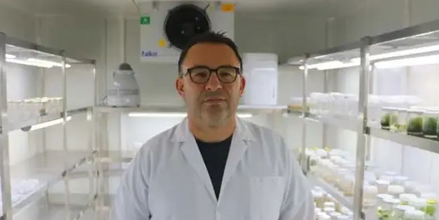  Sonuçları çok ağır olabiliyor: Bu bitkileri karıştıran soluğu hastanede alıyor