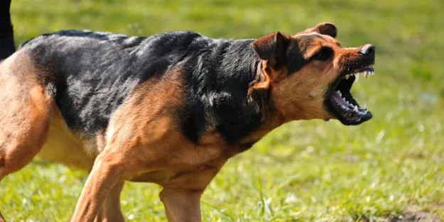 Sonunda bu da oldu! İngiltere'den Türkiye'ye gelen vatandaşlarına 