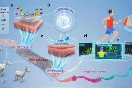 Sonunda bu da oldu! İnsan hareketlerini izleyen giyilebilir e-deri