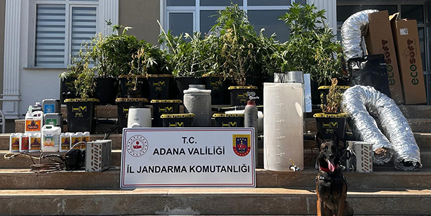 Sonunda bunu da gördük! Uyuşturucu serası kurdular