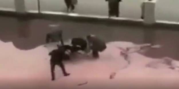 Sonunda kendine geldi... Minik Asiye'den gülümseten istek