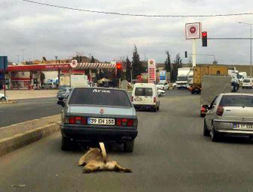 Sonunda yakalandı ifadesi daha da korkunç!