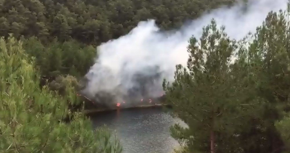 Sorumsuz piknikçiler yangın çıkardı 