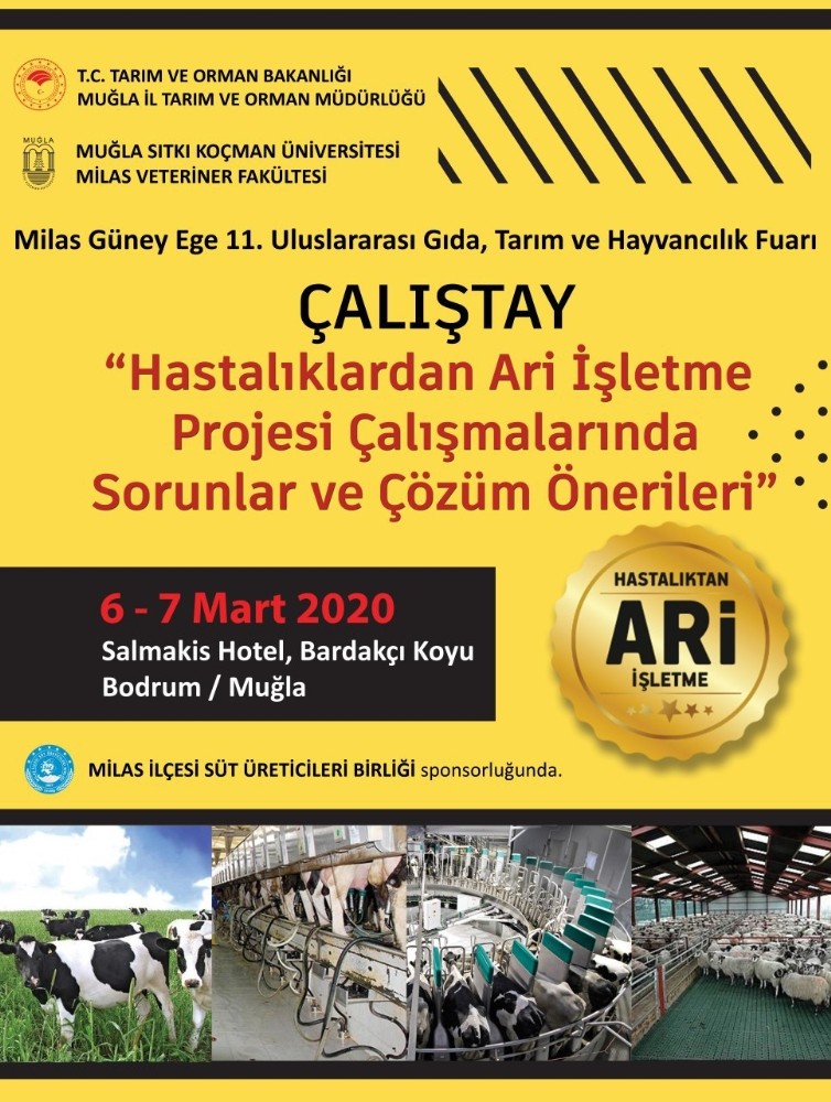 Sorunlar ve Çözüm Önerileri Çalıştayı başlıyor 