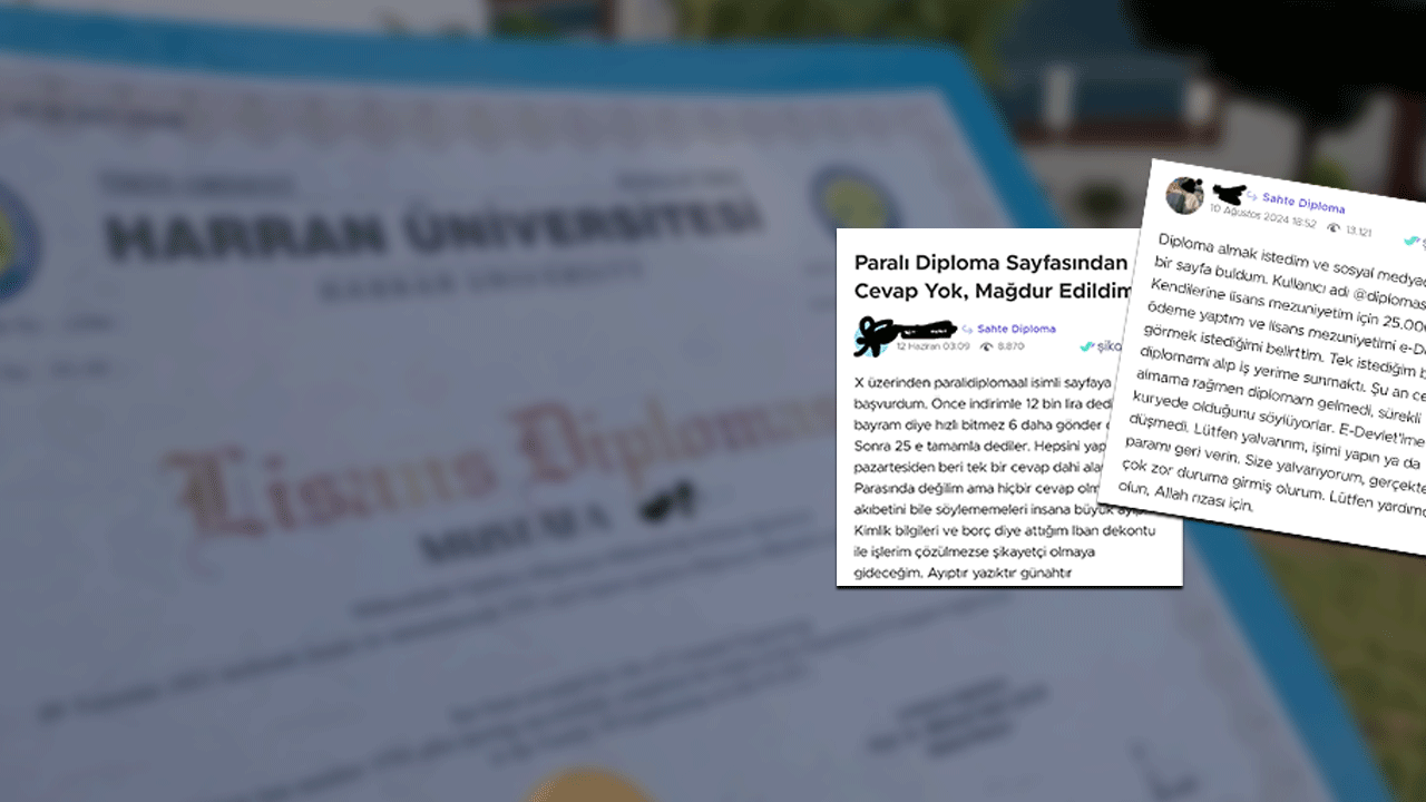 Sosyal medya ayağa kalktı! Sahte diploma için şikayet kayıtları oluşturdular
