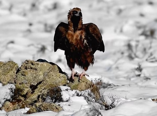 Sosyal medya bu fotoğrafı konuşuyor