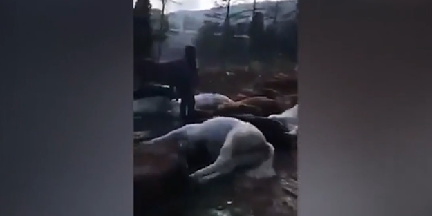 Sosyal medya bu görüntüleri konuşuyor! İBB'den açıklama geldi