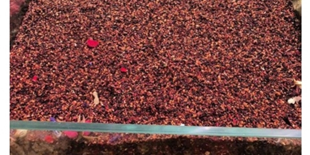 Sosyal medya bu tweeti konuşuyor!