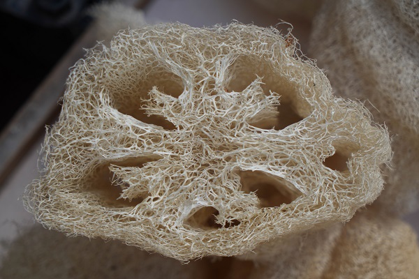 Sosyal medya etkili oldu! Neredeyse her eve girdi