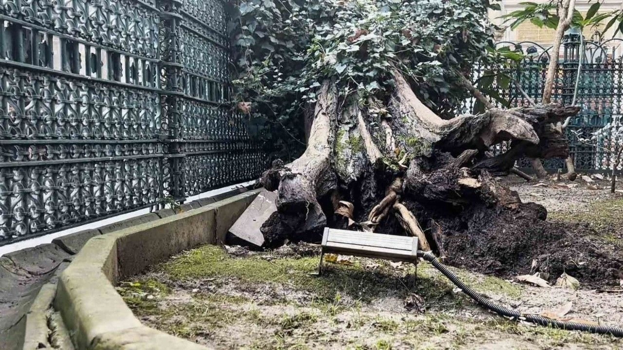 Sosyal medyada çok tartışıldı! Eyüp Sultan Camii'ndeki olayın aslı ortaya çıktı