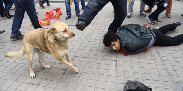 Sembolsüz olmaz! Şimdi de köpek