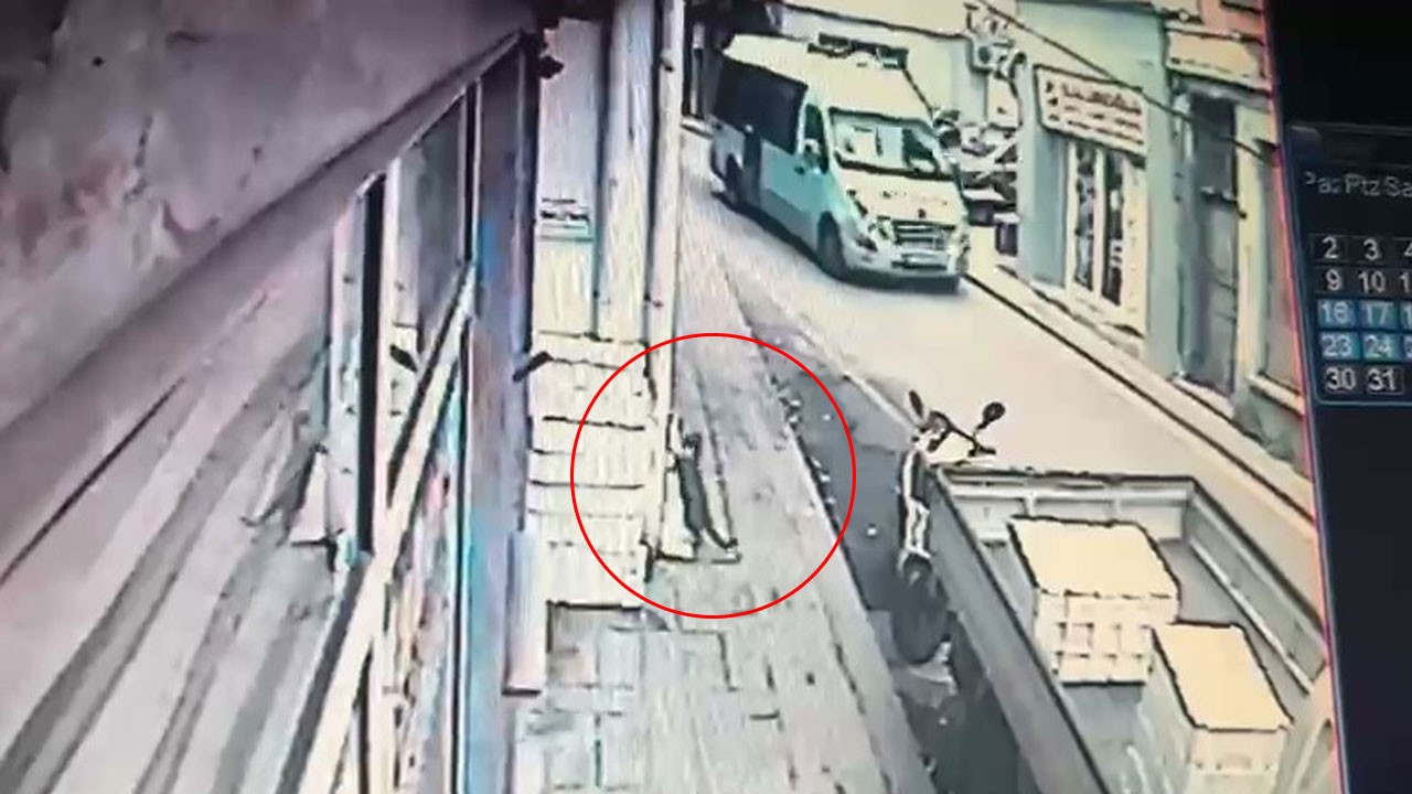 Sosyal medyada izleyenleri güldürdü! Tezgahtan balık yürüten kedi kamerada