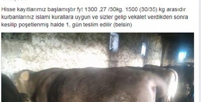 Sosyal medyada kurbanlık satışı başladı