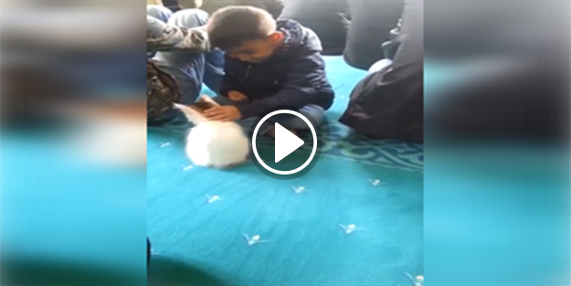 Paylaşım rekorları kıran video: Gerçek İslam bu!