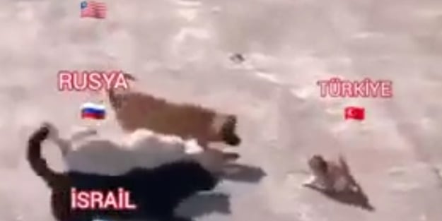 Sosyal medyada rekor kıran Türkiye, ABD, Rusya ve İsrail videosu! 'Ben tekim siz hepiniz'