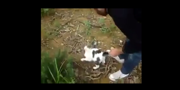 Sosyal medyada tepki çeken görüntüler