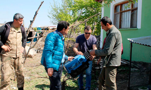 Sosyal medyadan keklik sattı, cezası kesildi
