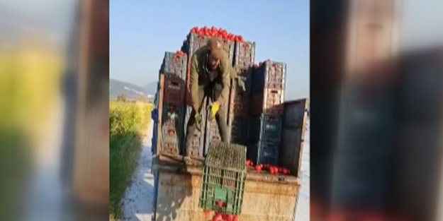 Sosyal medyadan sizin için seçtiklerimiz! Kamyon kamyon sebze-meyve dökenlere tepki yağdı