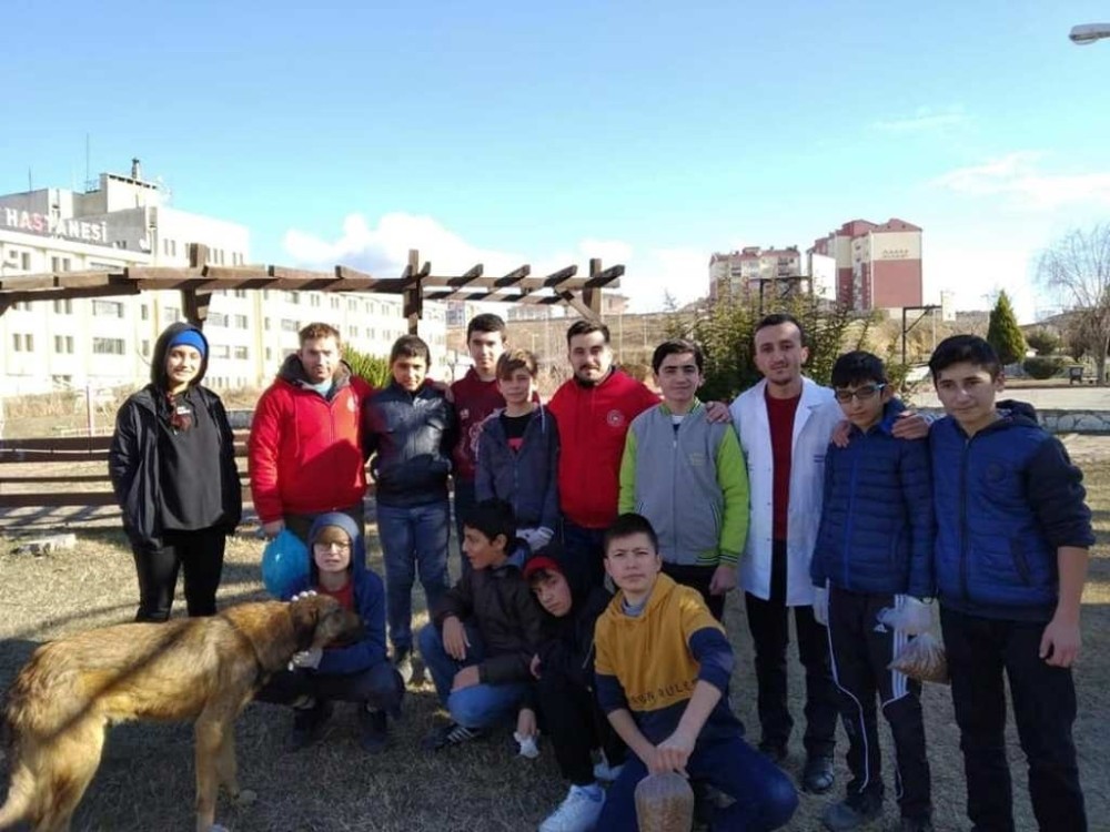 Sosyal medyadan sosyal meydana 