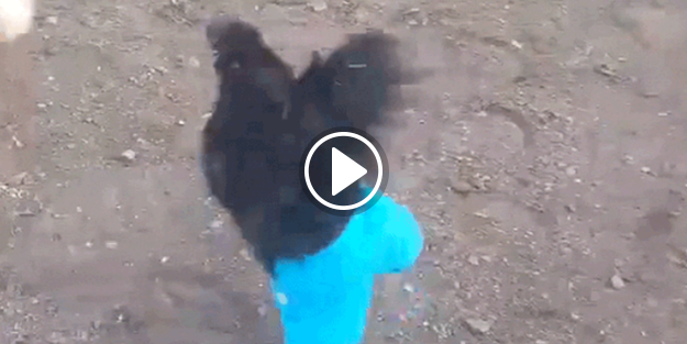 Sosyal medyanın yeni fenomeni oldu