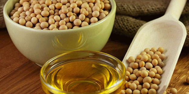 Soya yağının aşırı tüketiminin bağırsak sağlığına zarar verdiği tespit edildi