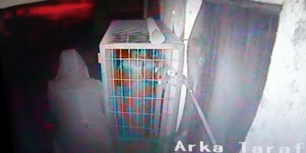 Soyguna gelen hırsızlar bekçiyi de çaldı